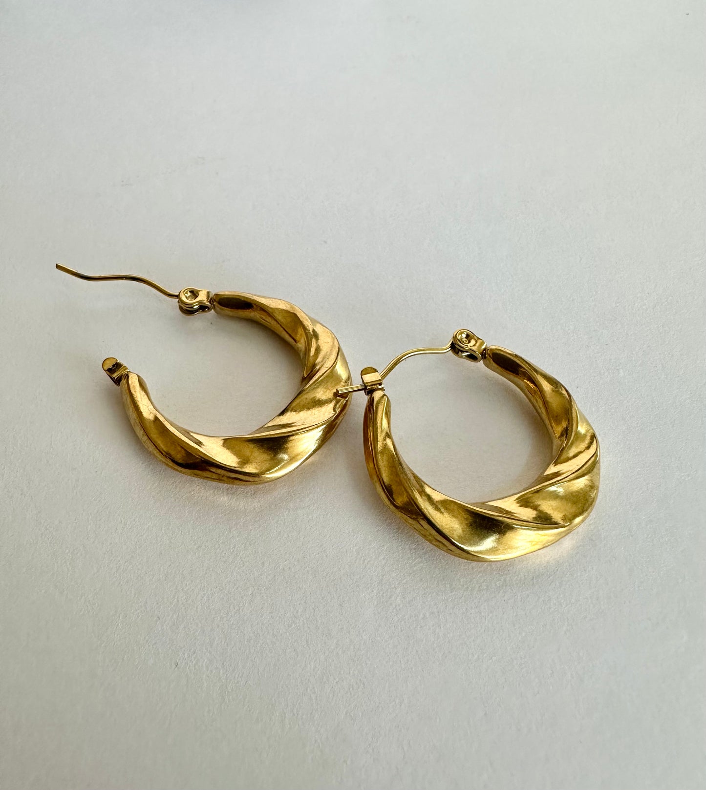 Stainless Steel Hoop Earrings