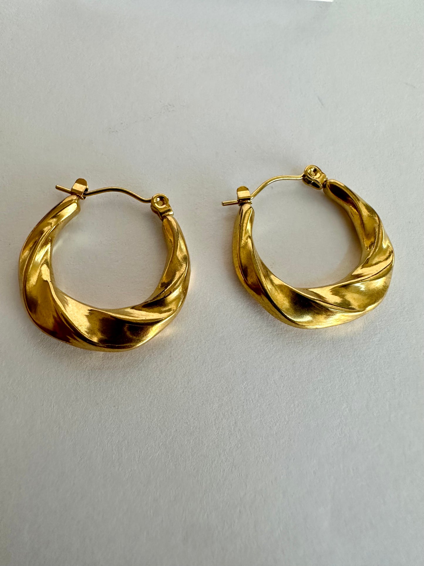 Stainless Steel Hoop Earrings