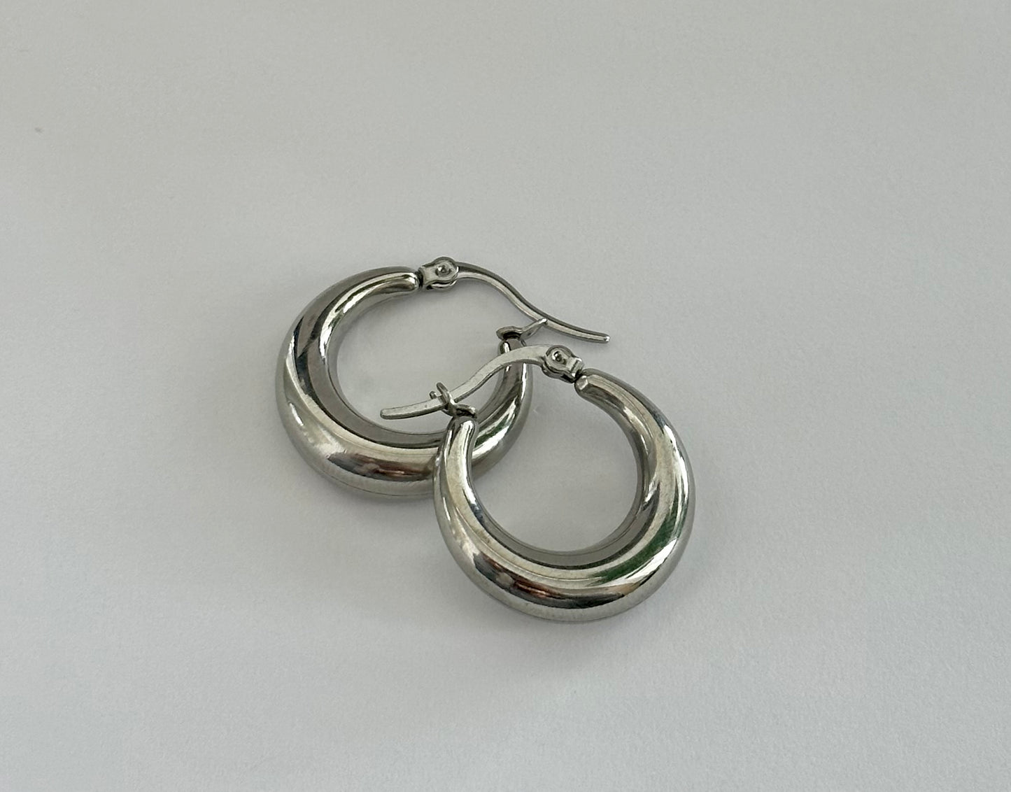 Stainless Steel Hoop Earrings