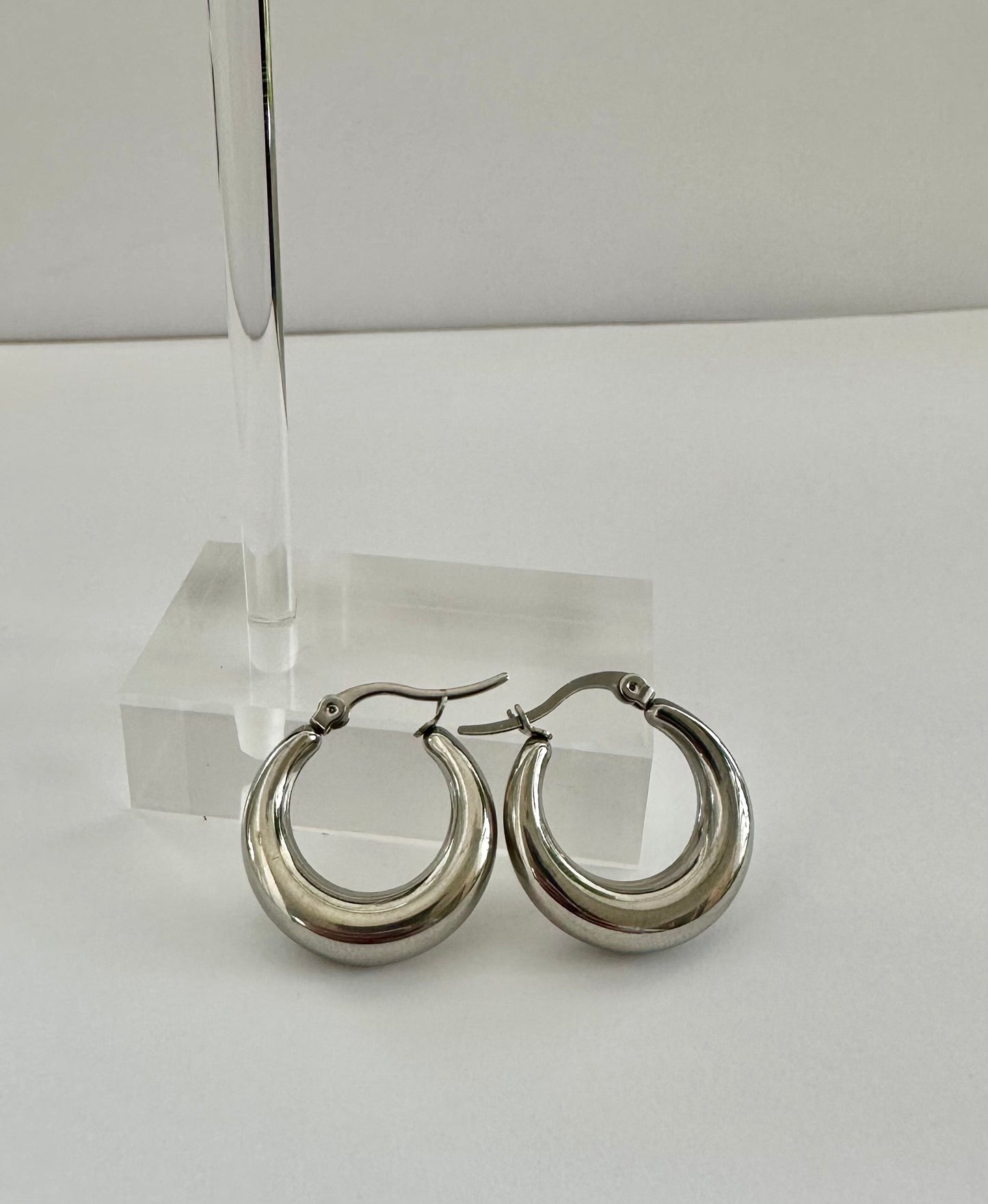 Stainless Steel Hoop Earrings