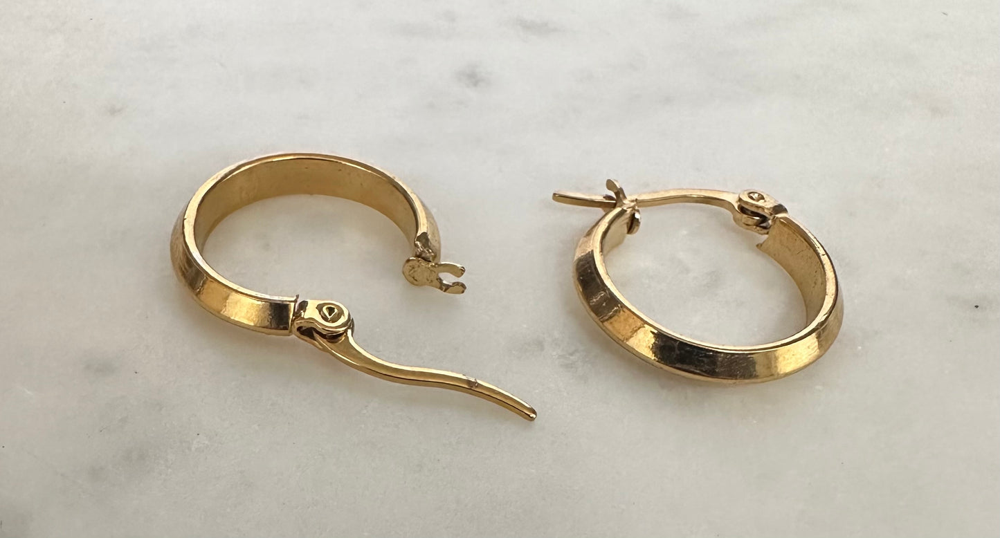 Stainless Steel Hoop Earrings